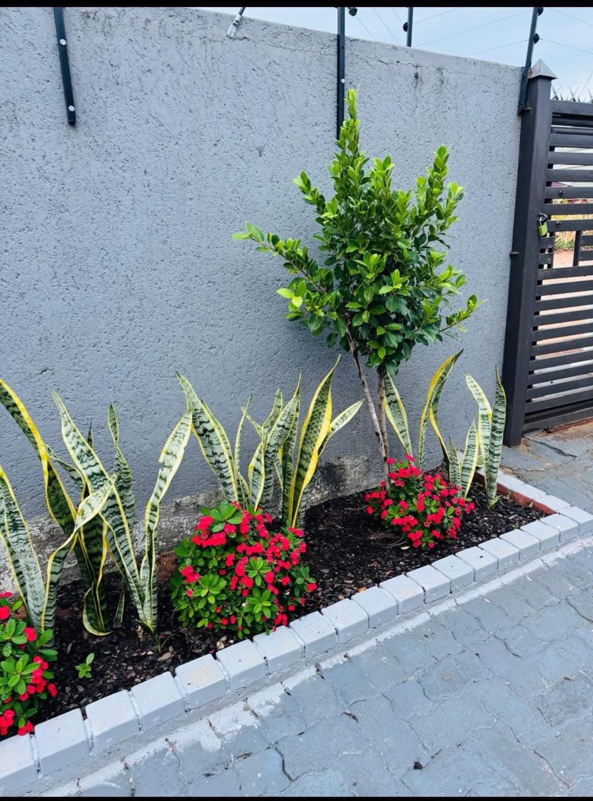 Artificial grass project 3